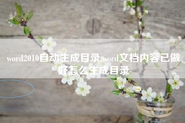 word2010自动生成目录,word文档内容已做好怎么生成目录