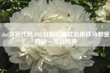 dnf最新代码,DNF目前红眼女装跟铁马都是四缺一可以跨界