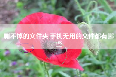 删不掉的文件夹,手机无用的文件都有哪些