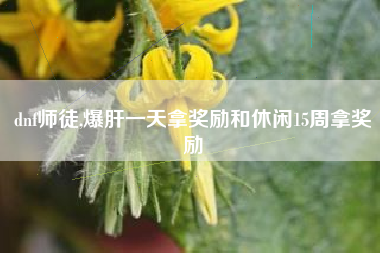 dnf师徒,爆肝一天拿奖励和休闲15周拿奖励