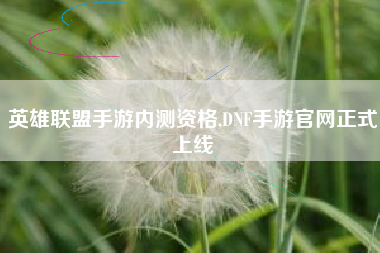 英雄联盟手游内测资格,DNF手游官网正式上线