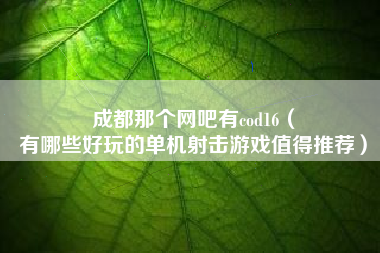 成都那个网吧有cod16（
有哪些好玩的单机射击游戏值得推荐）