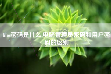 bios密码是什么,电脑管理员密码和用户密码的区别