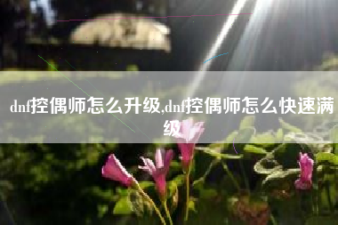 dnf控偶师怎么升级,dnf控偶师怎么快速满级