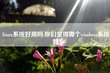 linux系统好用吗,你们觉得哪个windows系统好