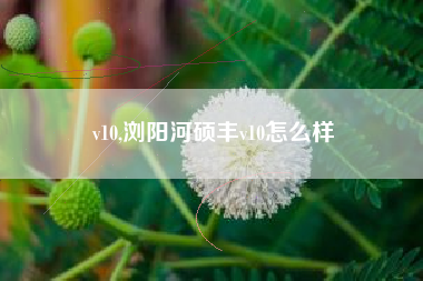 v10,浏阳河硕丰v10怎么样