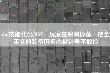 dnf技能代码,DNF一玩家在深渊掉落一把全英文的装备因担心被封号不敢捡