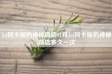 lol阿卡丽的神秘商店11月,lol阿卡丽的神秘商店多久一次