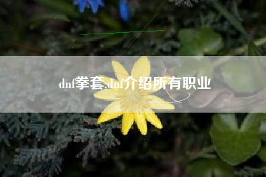 dnf拳套,dnf介绍所有职业