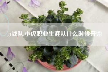 gt战队,小虎职业生涯从什么时候开始