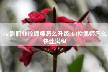 dnf副职业控偶师怎么升级,dnf控偶师怎么快速满级