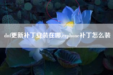 dnf更新补丁安装在哪,erphone补丁怎么装