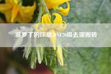 波罗丁的印章,DNF70级去哪搬砖