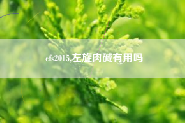 cfs2015,左旋肉碱有用吗