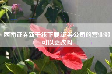 西南证券新干线下载,证券公司的营业部可以更改吗