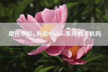 摩托罗拉q,有装Windows系统的手机吗