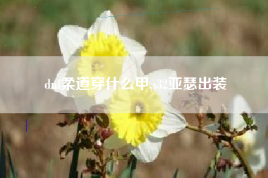 dnf柔道穿什么甲,s32亚瑟出装