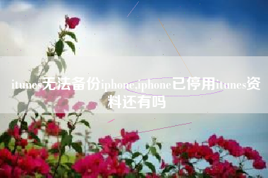 itunes无法备份iphone,iphone已停用itunes资料还有吗