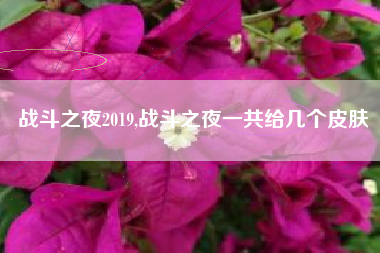 战斗之夜2019,战斗之夜一共给几个皮肤