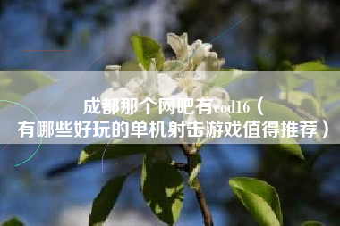 成都那个网吧有cod16（
有哪些好玩的单机射击游戏值得推荐）