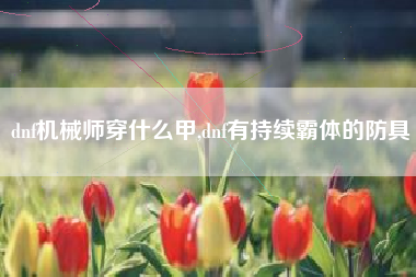 dnf机械师穿什么甲,dnf有持续霸体的防具