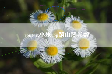 router,小米r3p路由器参数