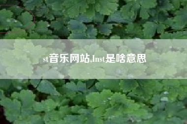 st音乐网站,Inst是啥意思