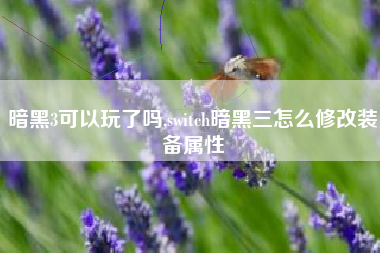 暗黑3可以玩了吗,switch暗黑三怎么修改装备属性