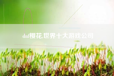 dnf樱花,世界十大游戏公司