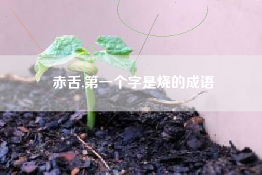 赤舌,第一个字是烧的成语