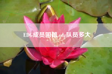 EDG成员国籍,edg队员多大