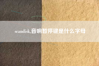 scandisk,音响暂停键是什么字母