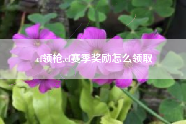 cf领枪,cf赛季奖励怎么领取