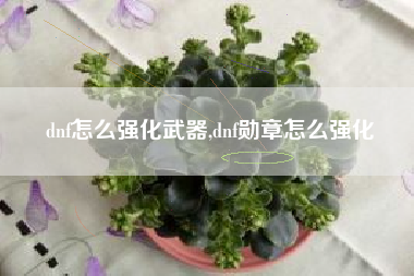 dnf怎么强化武器,dnf勋章怎么强化