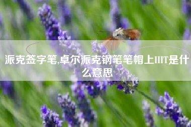 派克签字笔,卓尔派克钢笔笔帽上IIIT是什么意思