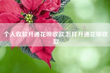 个人收款开通花呗收款,怎样开通花呗收款