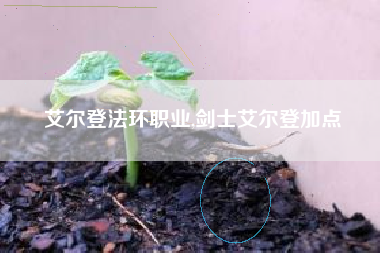 艾尔登法环职业,剑士艾尔登加点