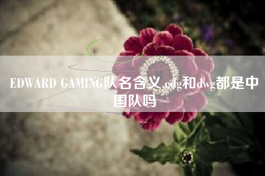 EDWARD GAMING队名含义,edg和dwg都是中国队吗