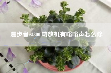 漫步者e3300,功放机有嗡嗡声怎么修