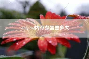 dnfg,dnf内存条需要多大