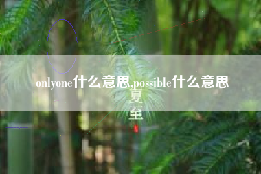 onlyone什么意思,possible什么意思