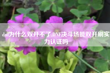 dnf为什么双开不了,DNF决斗场能双开刷实力认证吗