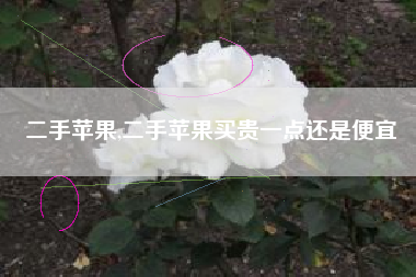 二手苹果,二手苹果买贵一点还是便宜