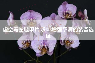 虚空毒蛇腿甲片,求313增强萨满的装备选择