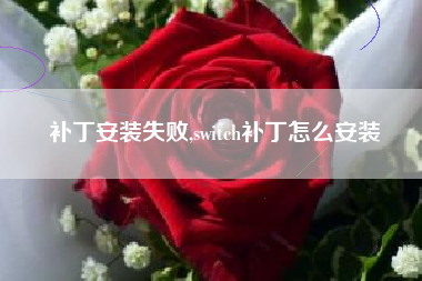 补丁安装失败,switch补丁怎么安装