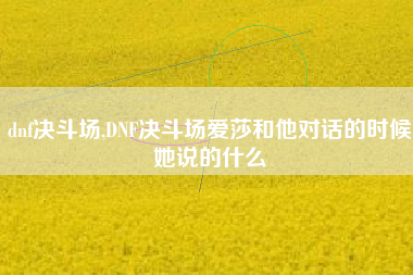 dnf决斗场,DNF决斗场爱莎和他对话的时候她说的什么