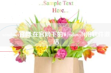 windows官网,在官网下的Windows10用软件激活