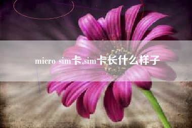 micro sim卡,sim卡长什么样子