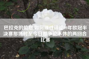 巴拉克的愤怒,如何理性评论09年欧冠半决赛那场时至今日都争论不休的两回合比赛