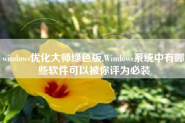 windows优化大师绿色版,Windows系统中有哪些软件可以被你评为必装